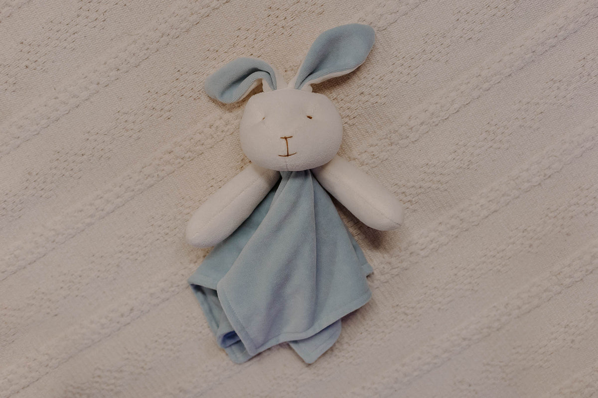 Naninha Coelho Azul